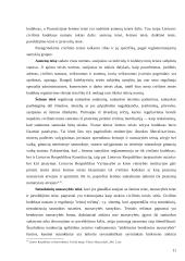 Civilinės teisės ribos ir jų nustatymo reikšmė 10 puslapis