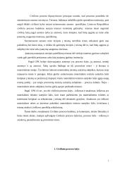 Civilinio proceso dalyviai 2 puslapis