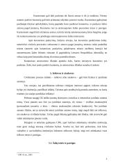 Civilinio proceso dalyviai 5 puslapis