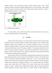 Darbo jėgos ir nedarbo statistinis tyrimas 7 puslapis