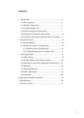 Dirbtinė akis 2 puslapis