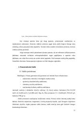 Dirbtinė akis 12 puslapis