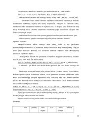 Dirbtinė akis 13 puslapis