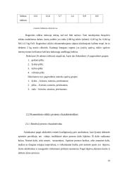 Dirbtinė akis 14 puslapis