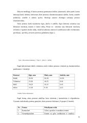 Dirbtinė akis 15 puslapis