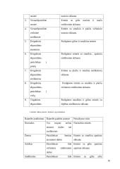 Dirbtinė akis 16 puslapis