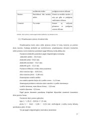 Dirbtinė akis 17 puslapis