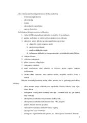 Dirbtinė akis 6 puslapis