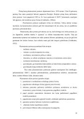 Dirbtinė akis 10 puslapis