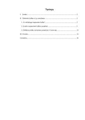 Dirbtinės kalbos ir jų vartojimas 2 puslapis