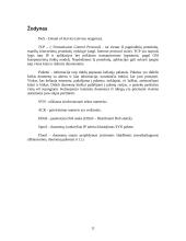 DoS atakos – principai ir apsaugos mechanizmai 11 puslapis