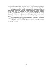 DoS atakos – principai ir apsaugos mechanizmai 10 puslapis