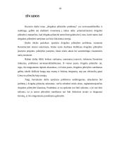 Dvigubos pilietybės konstitucinė problema 17 puslapis