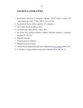 Dvigubos pilietybės konstitucinė problema 18 puslapis