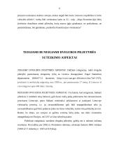 Dvigubos pilietybės konstitucinė problema 5 puslapis