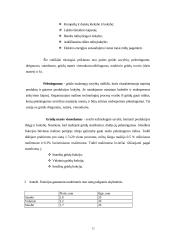 Dvirūšio 75% kviečių malimo technologinio proceso analizė 9 puslapis
