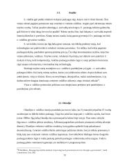 Elektroninės valdžios paslaugų teikimo galimybės savivaldybėse 13 puslapis