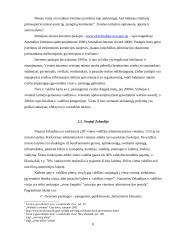 Elektroninės valdžios paslaugų teikimo galimybės savivaldybėse 8 puslapis