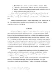 Elektroninės valdžios paslaugų teikimo galimybės savivaldybėse 9 puslapis