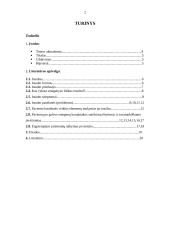 Ergoterapijos efektyvumas po insulto mokant pacientą kasdienės veiklos elementų 2 puslapis