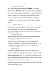 Ergoterapijos efektyvumas po insulto mokant pacientą kasdienės veiklos elementų 12 puslapis