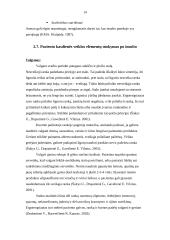 Ergoterapijos efektyvumas po insulto mokant pacientą kasdienės veiklos elementų 14 puslapis