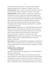 Ergoterapijos efektyvumas po insulto mokant pacientą kasdienės veiklos elementų 17 puslapis