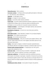 Ergoterapijos efektyvumas po insulto mokant pacientą kasdienės veiklos elementų 3 puslapis