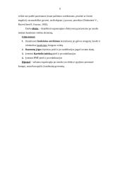 Ergoterapijos efektyvumas po insulto mokant pacientą kasdienės veiklos elementų 6 puslapis