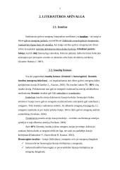 Ergoterapijos efektyvumas po insulto mokant pacientą kasdienės veiklos elementų 7 puslapis