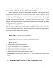 Etninės muzikos vartotojų elgsena 2 puslapis