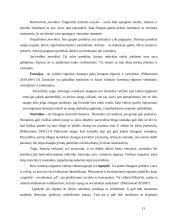 Etninės muzikos vartotojų elgsena 13 puslapis