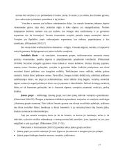 Etninės muzikos vartotojų elgsena 17 puslapis