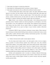 Etninės muzikos vartotojų elgsena 18 puslapis