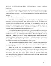 Etninės muzikos vartotojų elgsena 4 puslapis