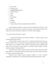 Etninės muzikos vartotojų elgsena 6 puslapis