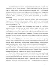 Etninės muzikos vartotojų elgsena 7 puslapis