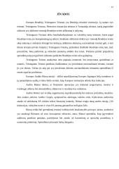 Europos Sąjungos (ES) kontroliuojančios institucijos 13 puslapis