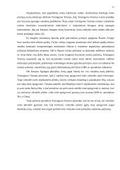Europos Sąjungos (ES) kontroliuojančios institucijos 9 puslapis