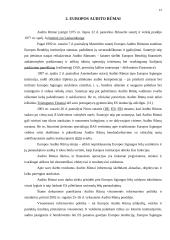 Europos Sąjungos (ES) kontroliuojančios institucijos 10 puslapis