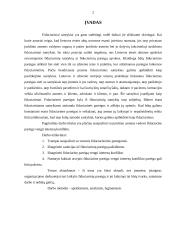 Fiduciarinė pareiga  vengti interesų konflikto 2 puslapis