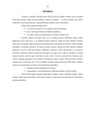 Fiduciarinė pareiga  vengti interesų konflikto 20 puslapis