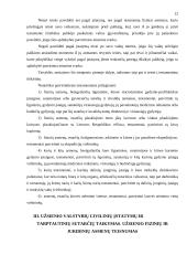 Fiziniai ir juridiniai asmenys civilinėje teisėje 12 puslapis