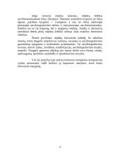 Fotogrametrija 12 puslapis