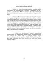 Fotogrametrija 17 puslapis