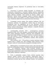 Fotogrametrija 6 puslapis