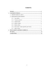 Gamybos istorija ir dabartis 2 puslapis