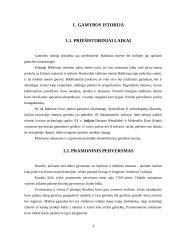 Gamybos istorija ir dabartis 4 puslapis