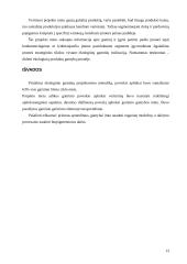 Gaminio ekologinis projektavimas 12 puslapis