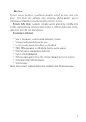 Gaminio ekologinis projektavimas 2 puslapis